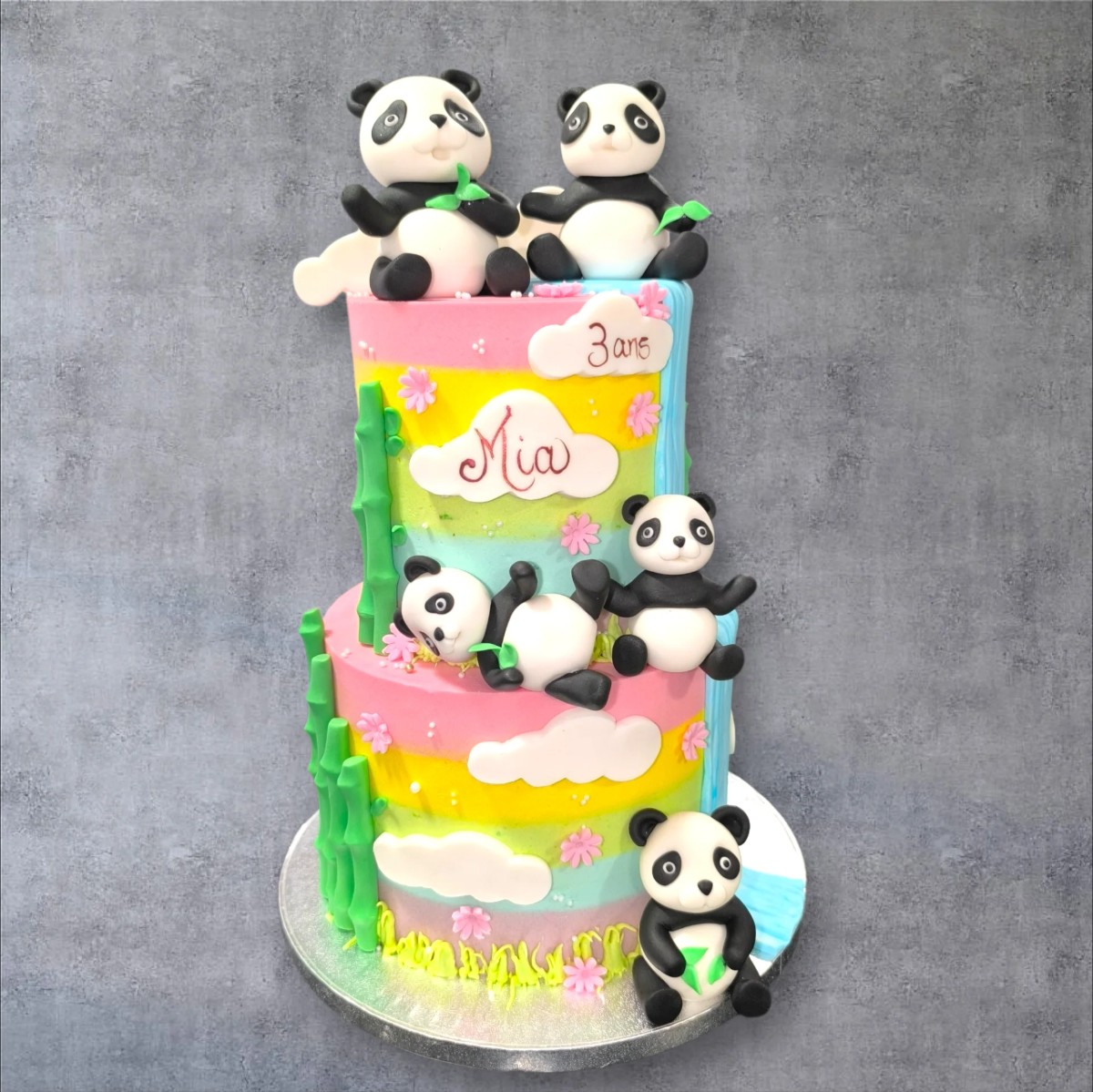 L'univers des pandas