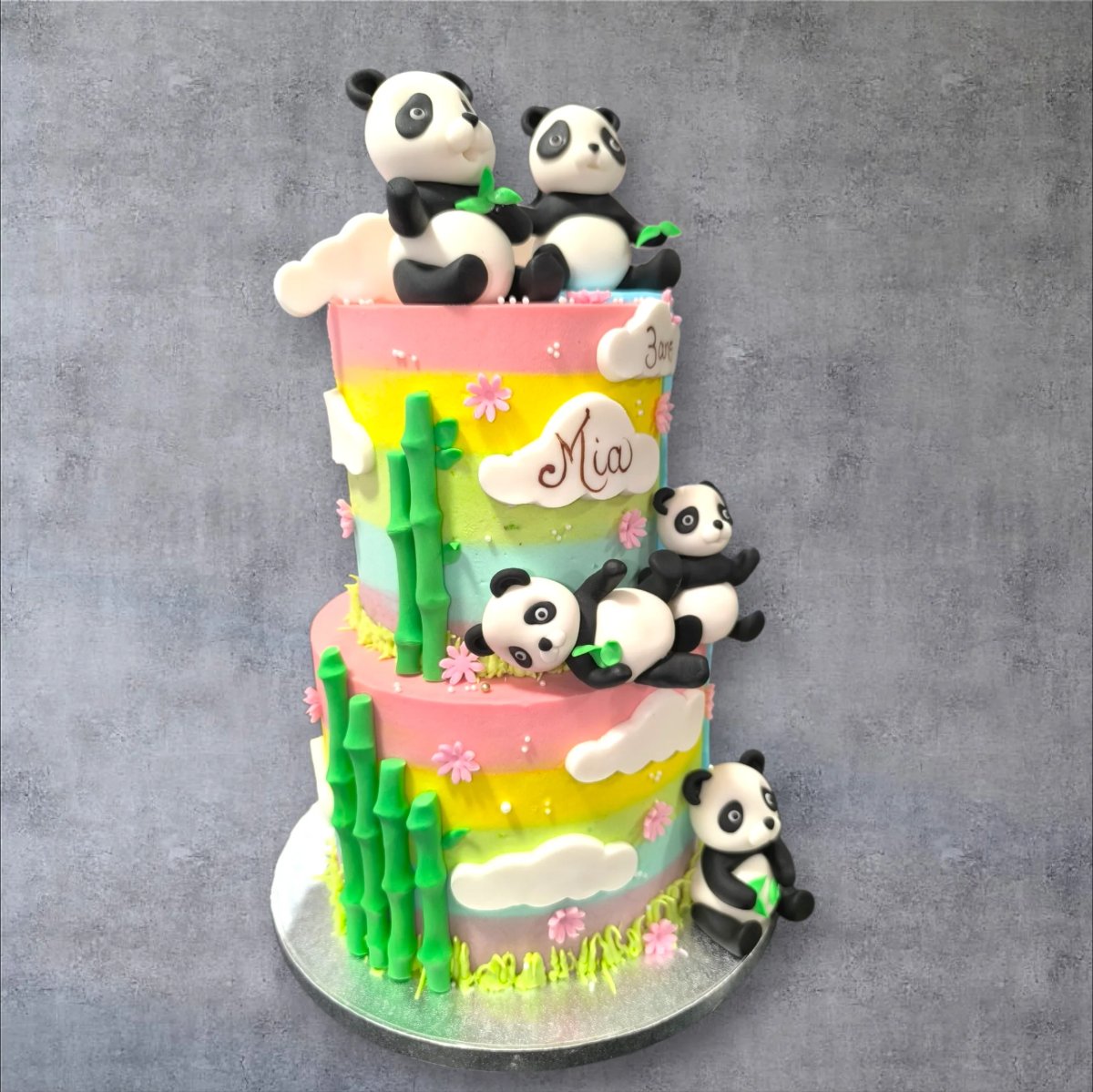 L'univers des pandas  - Image 1